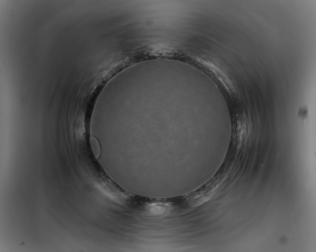 X0000100190508200805301250