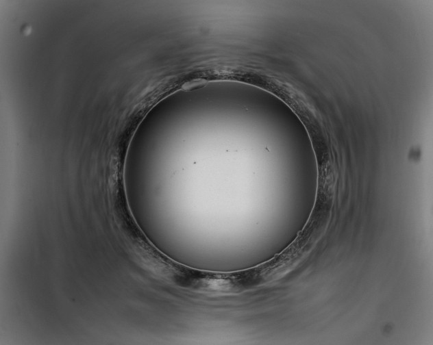 X0000100190509200805301250