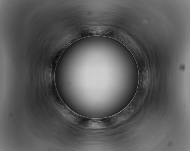X0000100190510200805301250