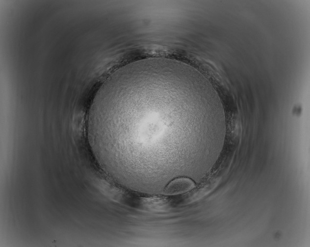 X0000100190511200805301250