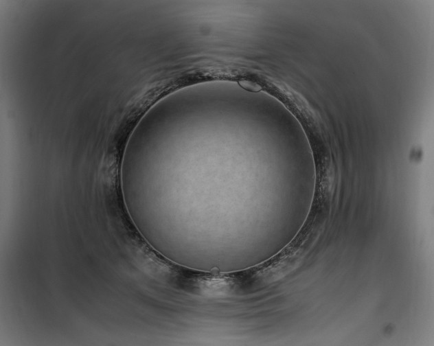 X0000100190513200805301250
