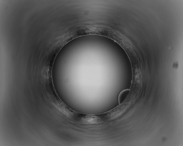 X0000100190514200805301250