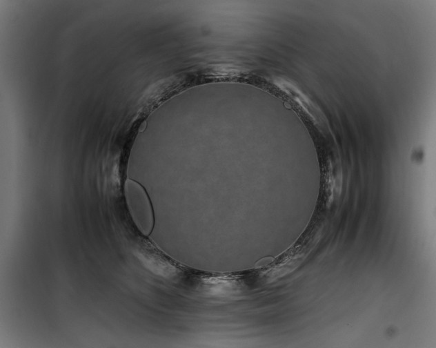 X0000100190516200805301250