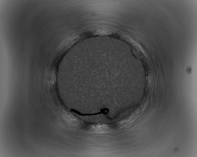X0000100190517200805301250