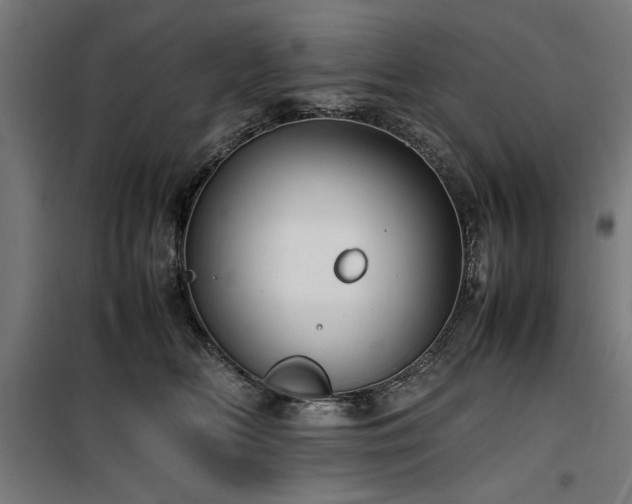 X0000100190518200805301250