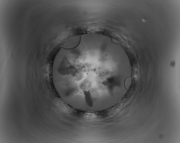 X0000100190519200805301250