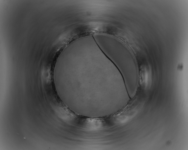 X0000100190520200805301250