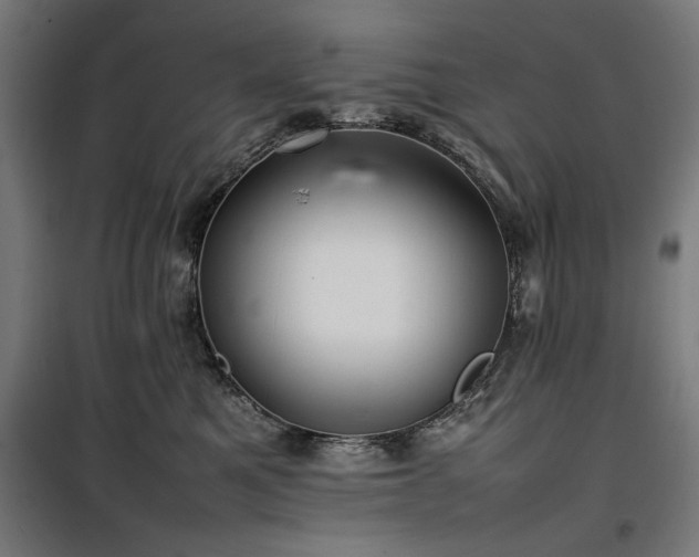 X0000100190521200805301250