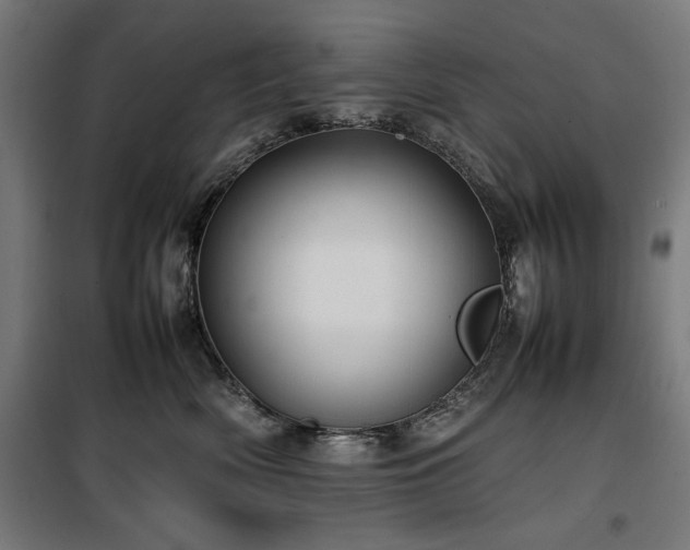 X0000100190522200805301250