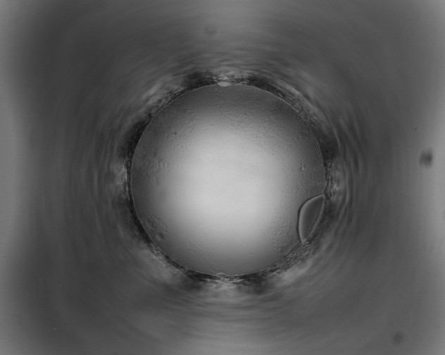 X0000100190523200805301250