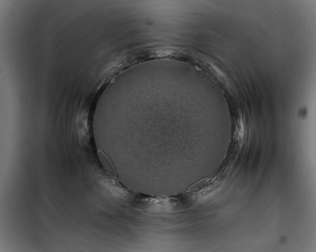 X0000100190524200805301250