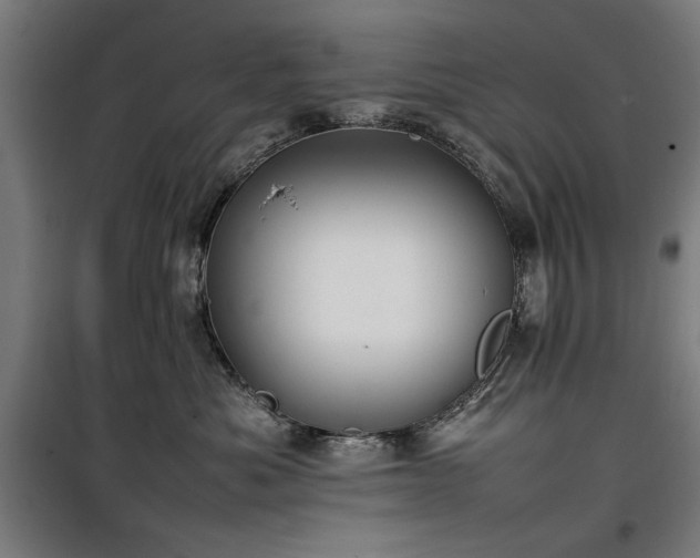 X0000100190525200805301250