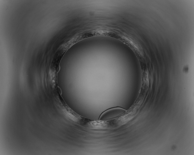 X0000100190526200805301250