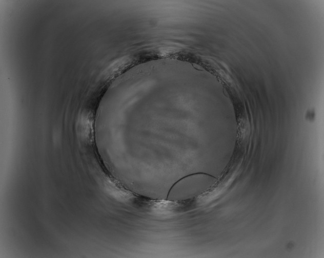 X0000100190527200805301250