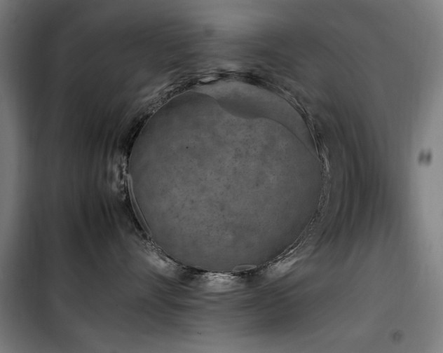 X0000100190528200805301250