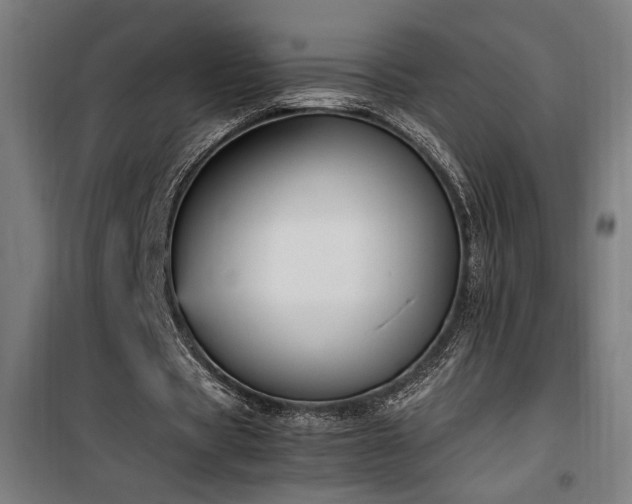 X0000100190529200805301249
