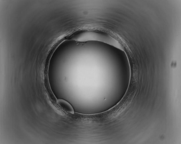 X0000100190530200805301249