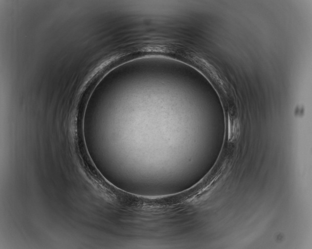 X0000100190531200805301249
