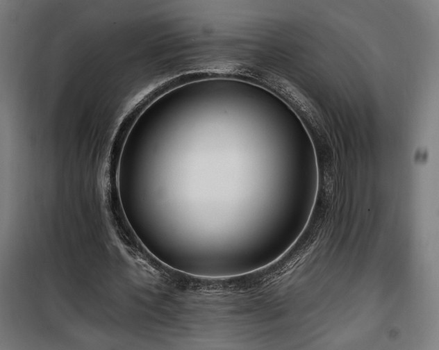 X0000100190532200805301249
