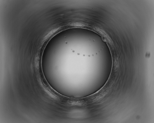 X0000100190533200805301249
