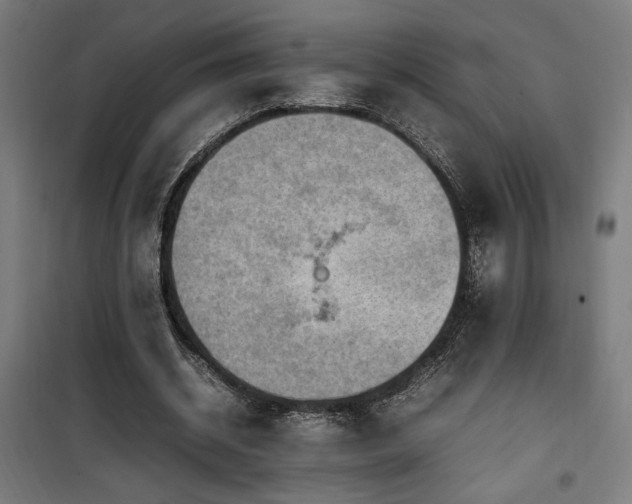 X0000100190534200805301249
