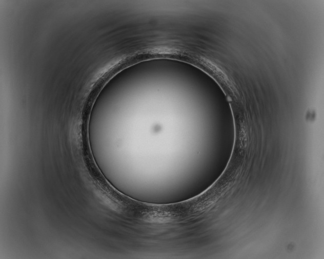 X0000100190535200805301249