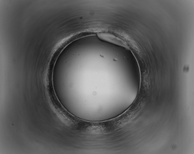 X0000100190536200805301249