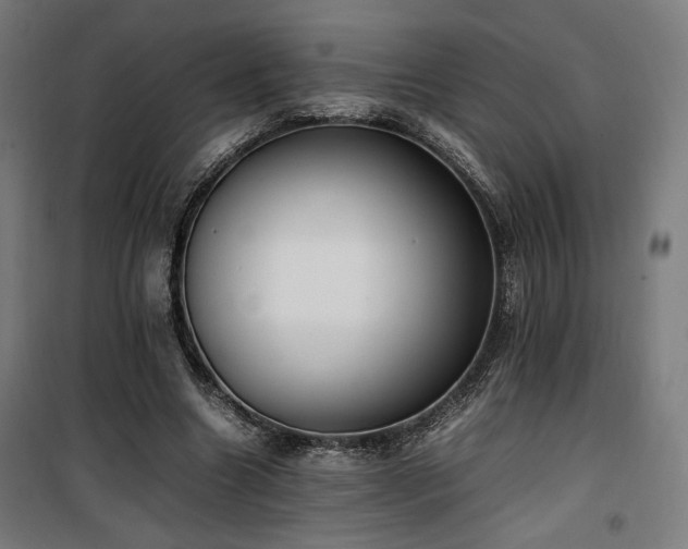 X0000100190538200805301250