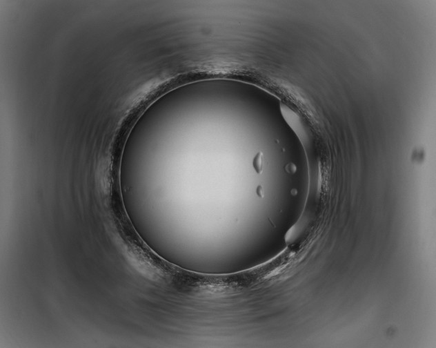 X0000100190540200805301250