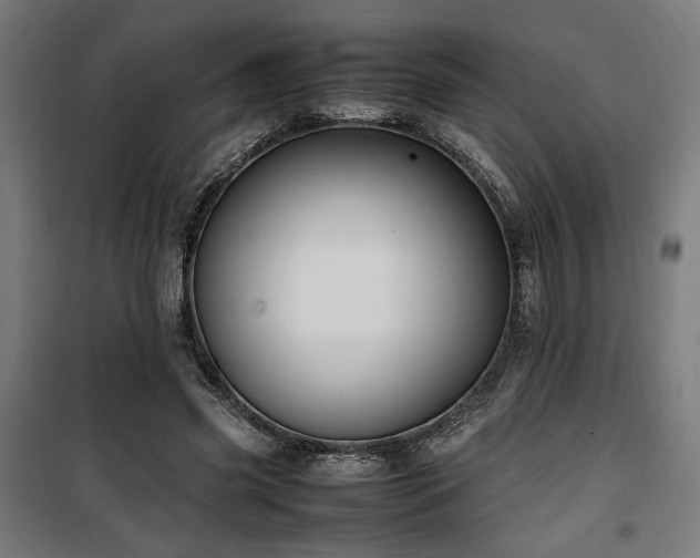 X0000100190541200805301250