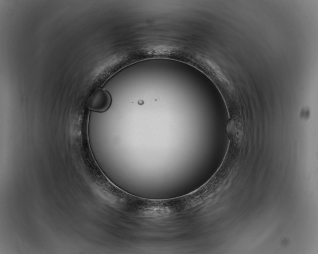 X0000100190543200805301250
