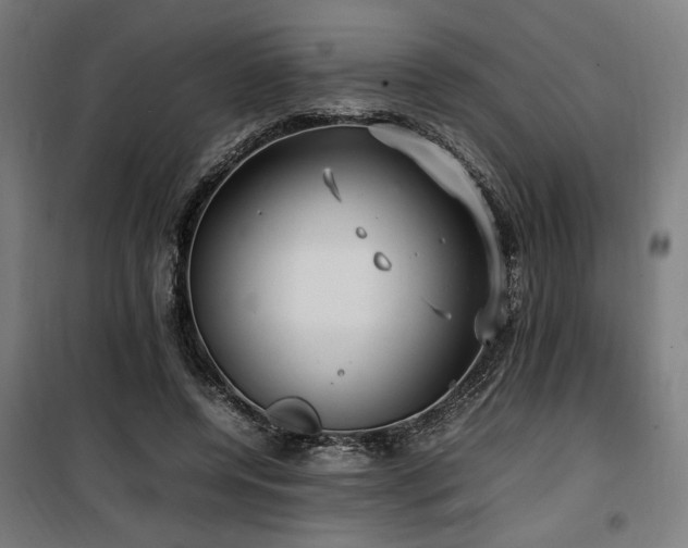 X0000100190544200805301250