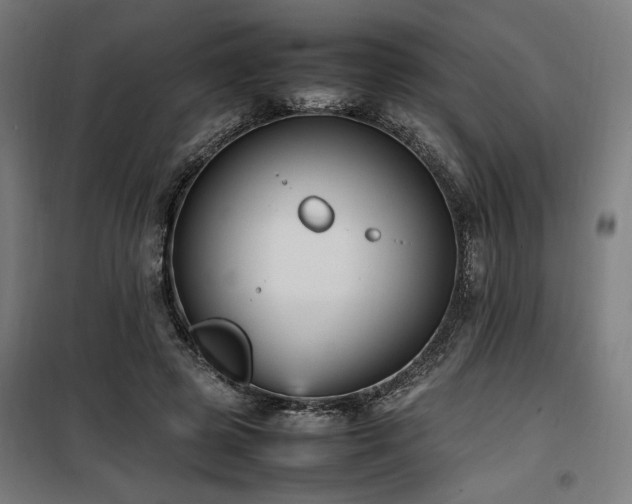 X0000100190545200805301250