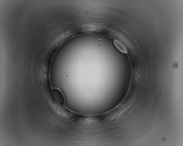 X0000100190546200805301250