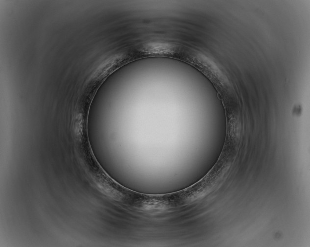 X0000100190549200805301250