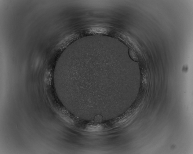 X0000100190551200805301250