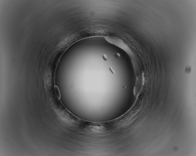 X0000100190552200805301250