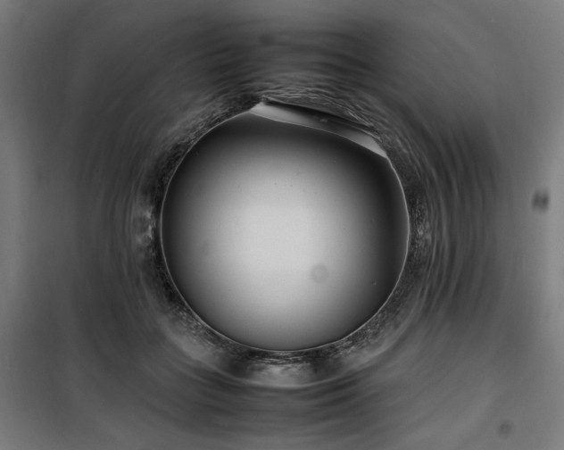 X0000100190555200805301250