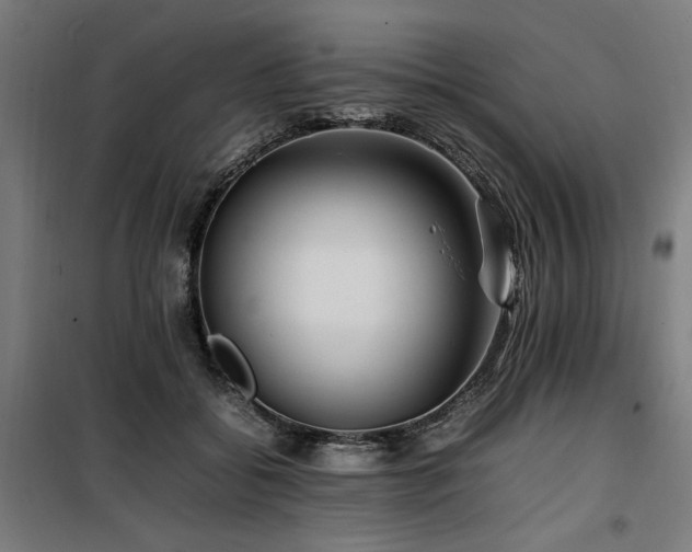 X0000100190556200805301250