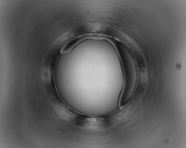 X0000100190558200805301250