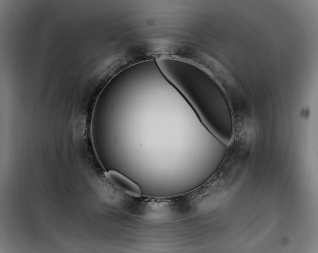 X0000100190560200805301250