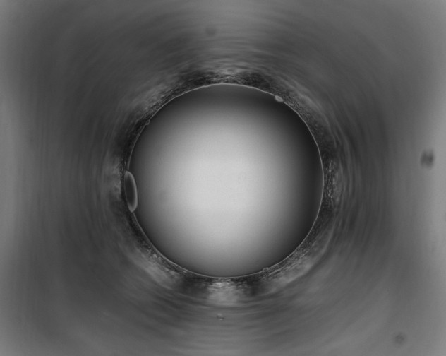 X0000100190562200805301250