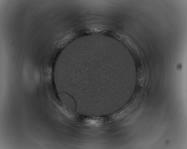 X0000100190563200805301250