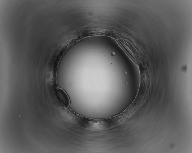 X0000100190564200805301250