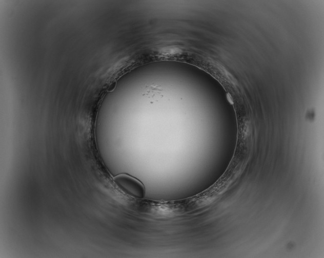 X0000100190565200805301250