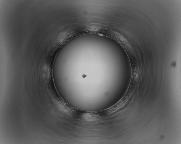 X0000100190568200805301250