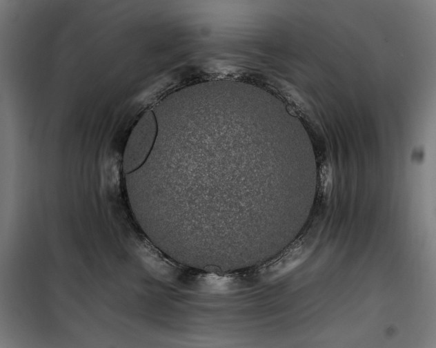 X0000100190570200805301250