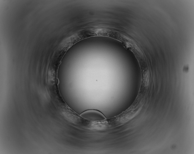 X0000100190571200805301250