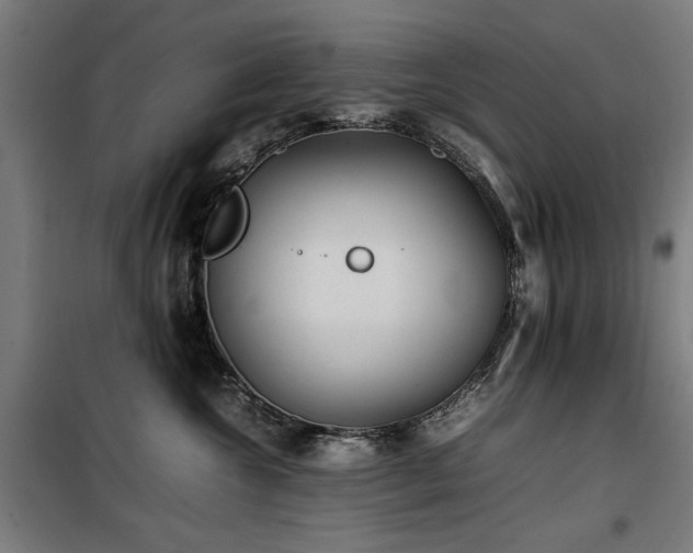 X0000100190572200805301250