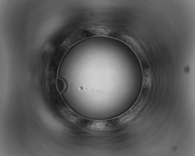 X0000100190573200805301250